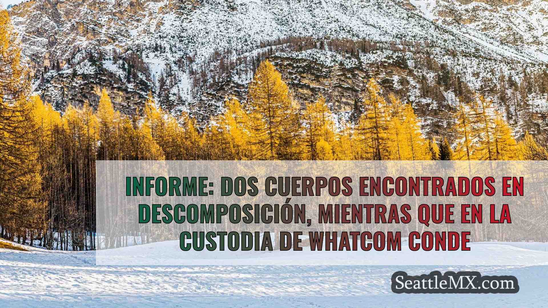 Noticias de Seattle SeattleMX