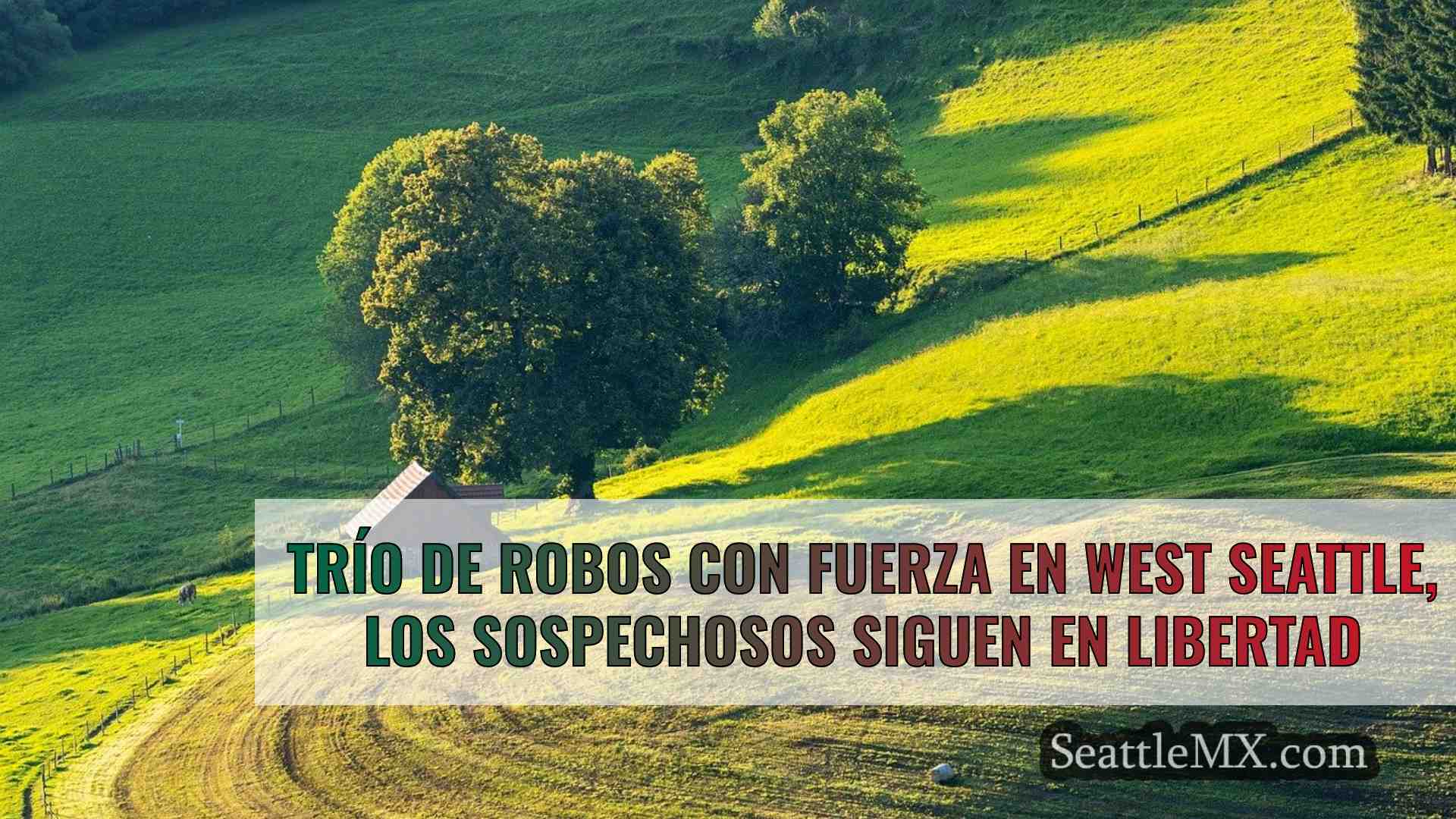 Noticias de Seattle SeattleMX