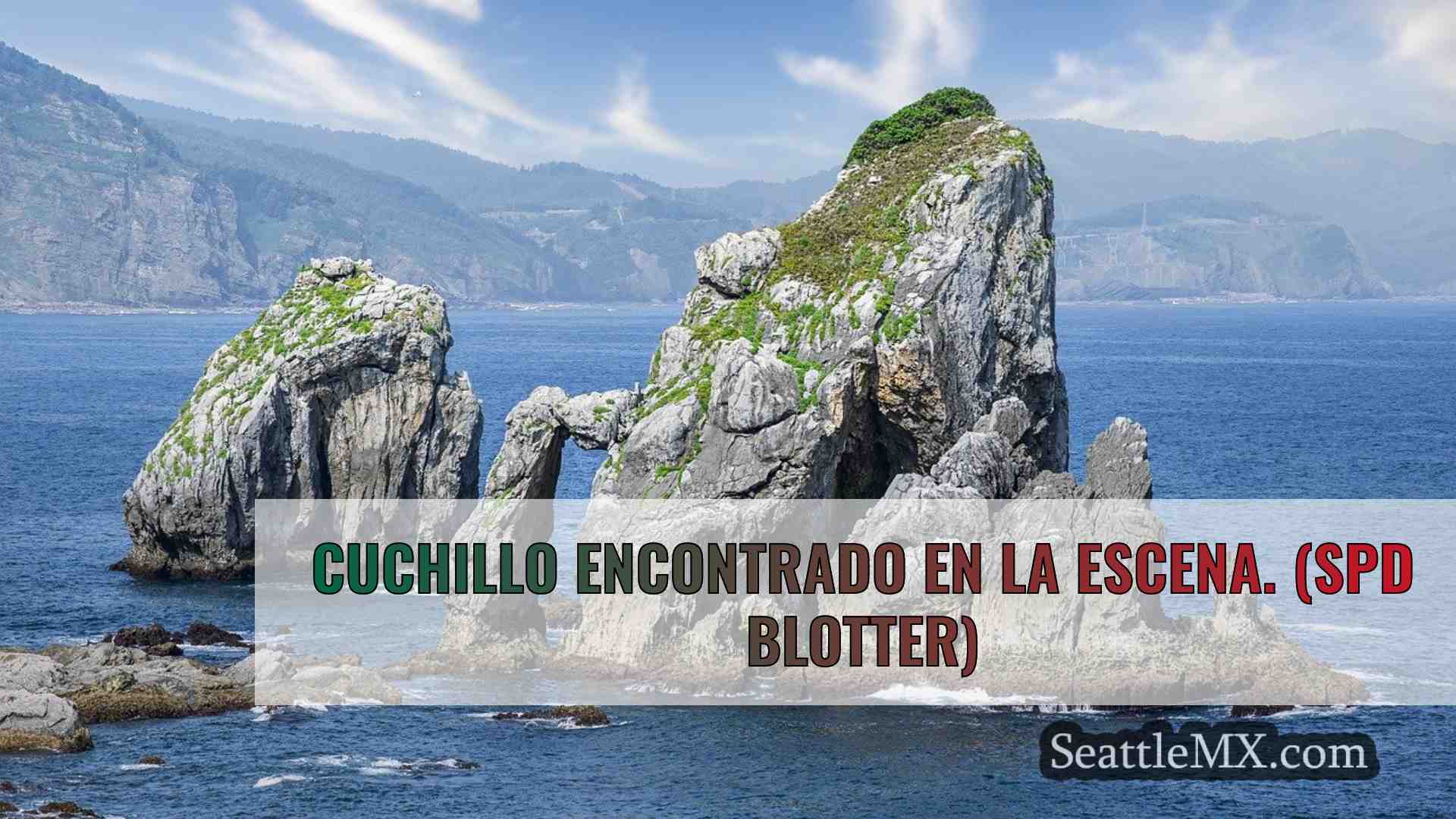 Apuñalado un anciano ciego en el sur de