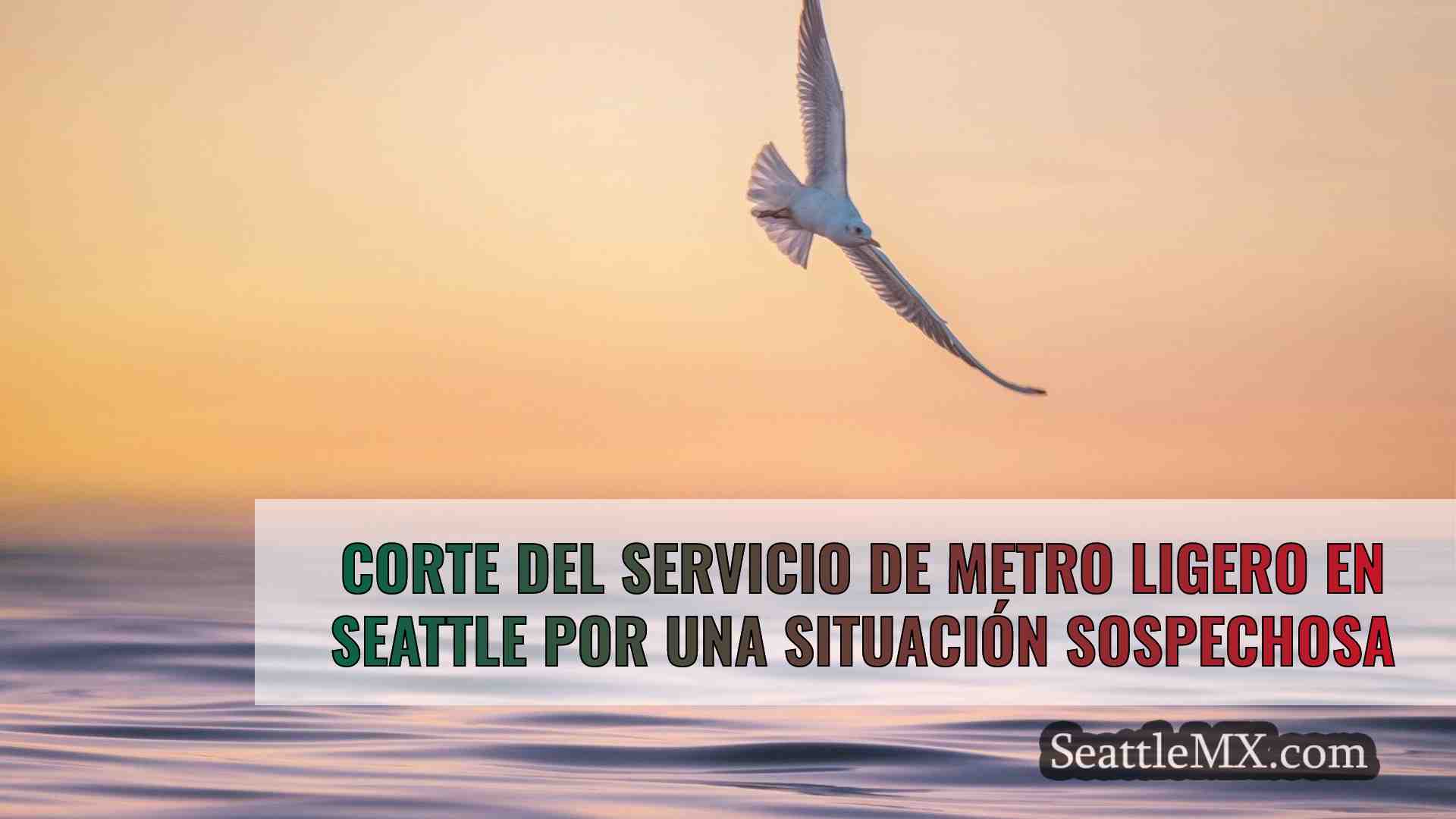 Noticias de Seattle SeattleMX