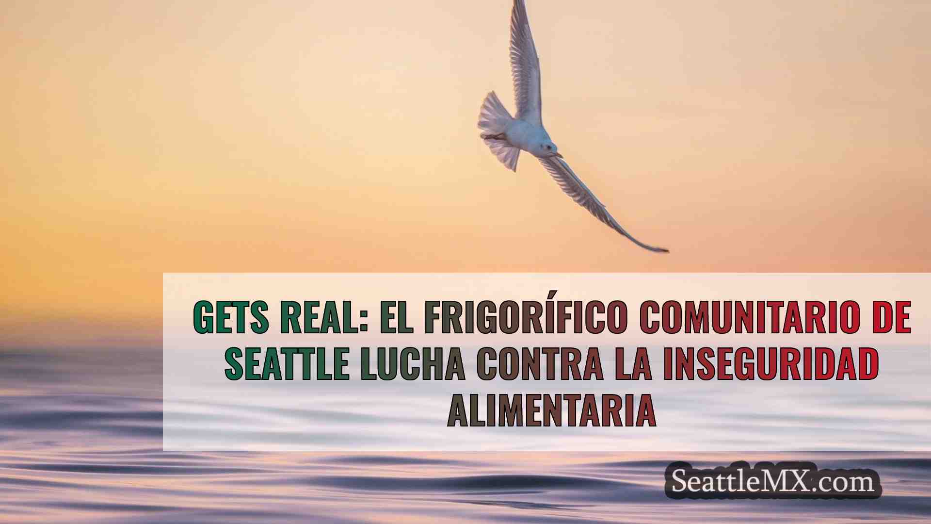 Gets Real: El frigorífico comunitario