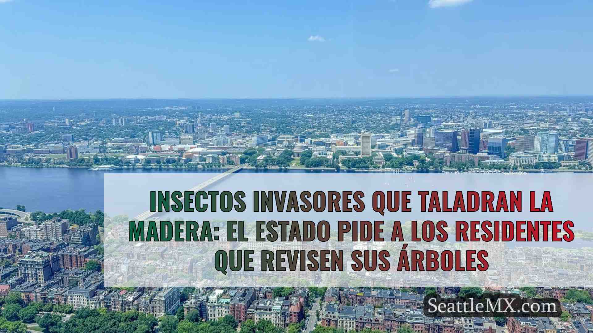 Noticias de Seattle SeattleMX