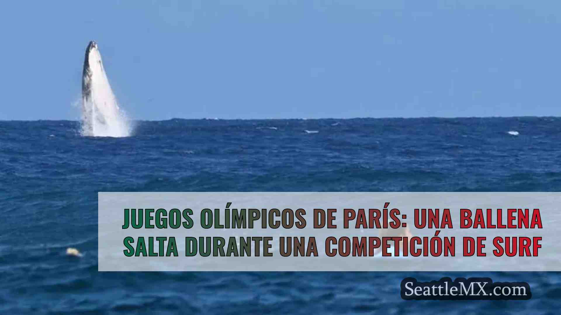 Juegos Olímpicos de París: Una ballena