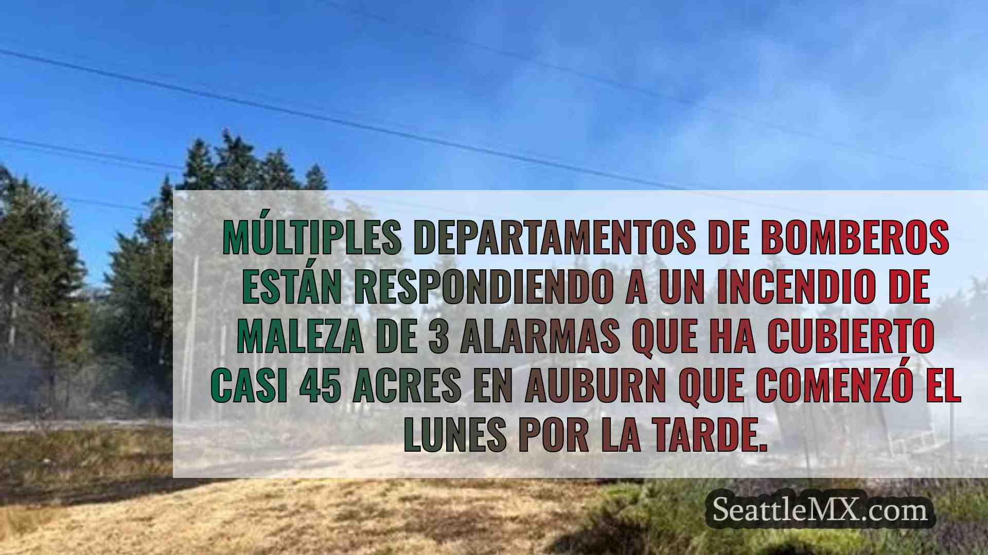 Noticias de Seattle SeattleMX