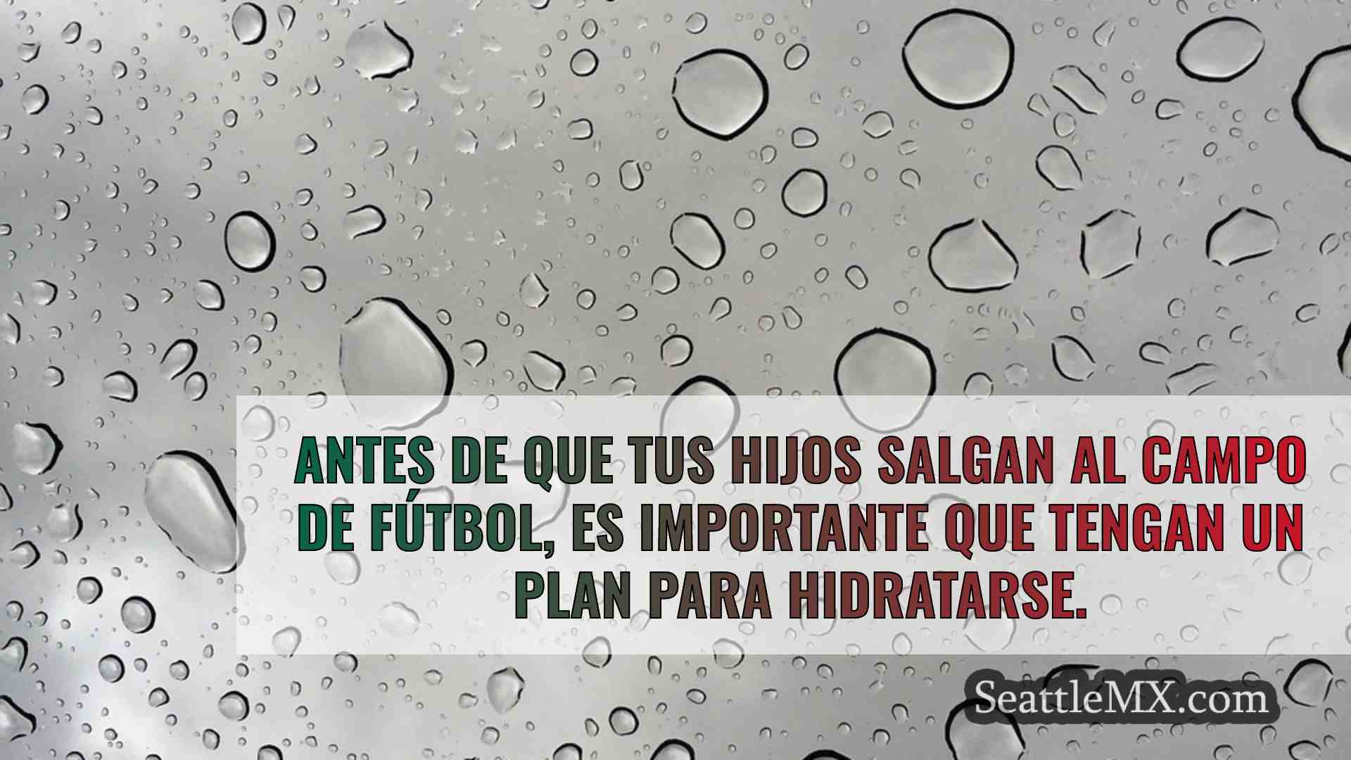 Noticias de Seattle SeattleMX