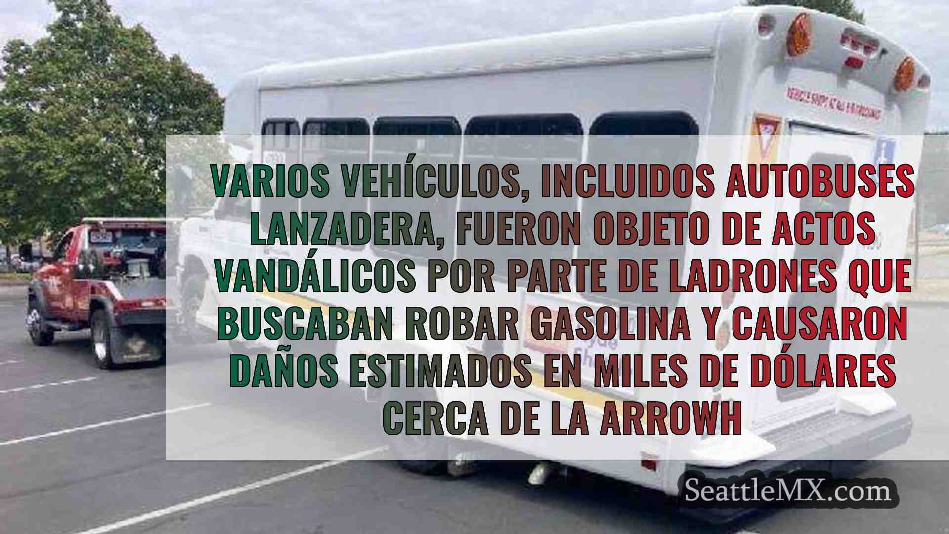 Ladrones de gas destrozan varios
