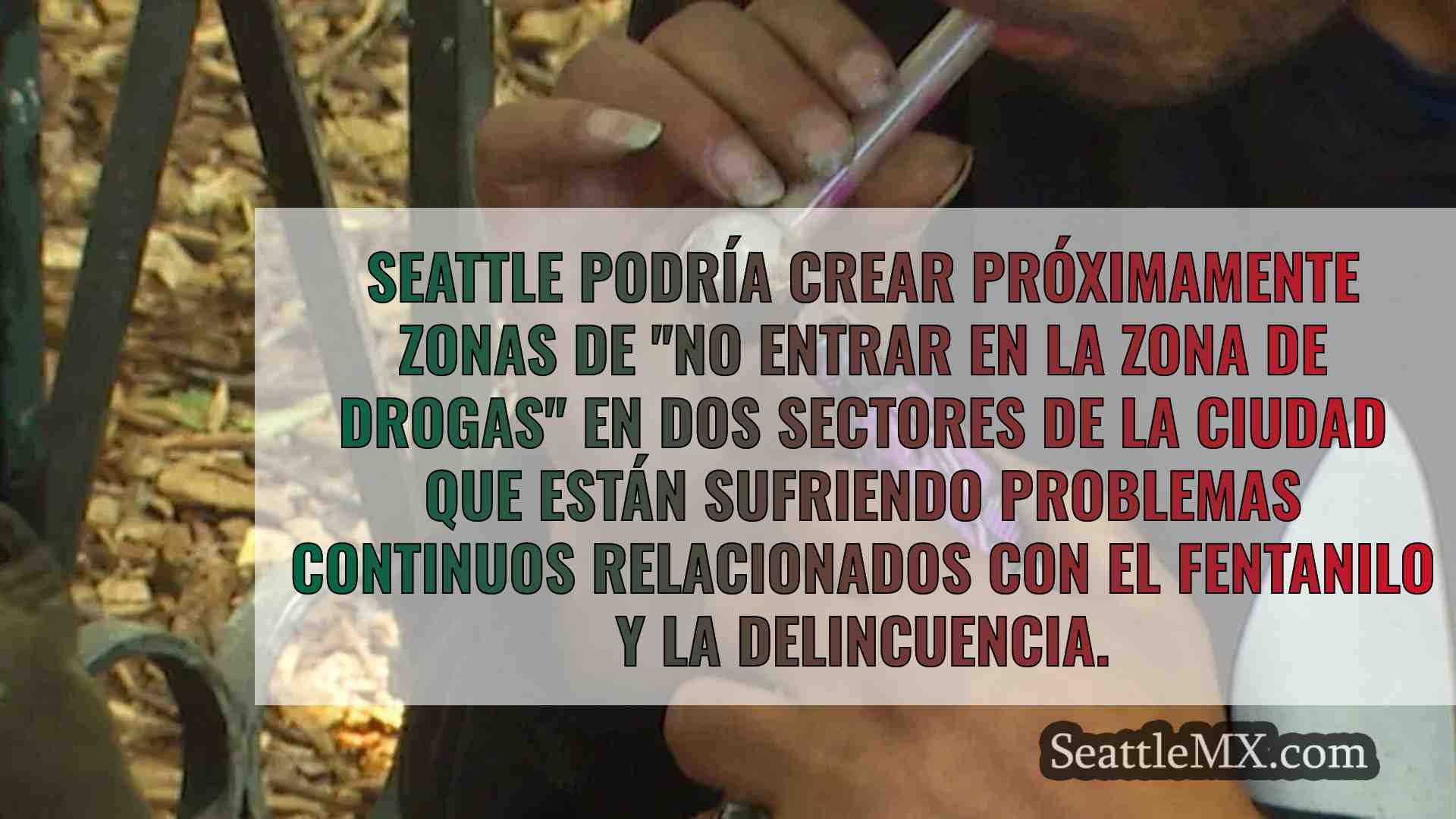 El Ayuntamiento de Seattle debatirá