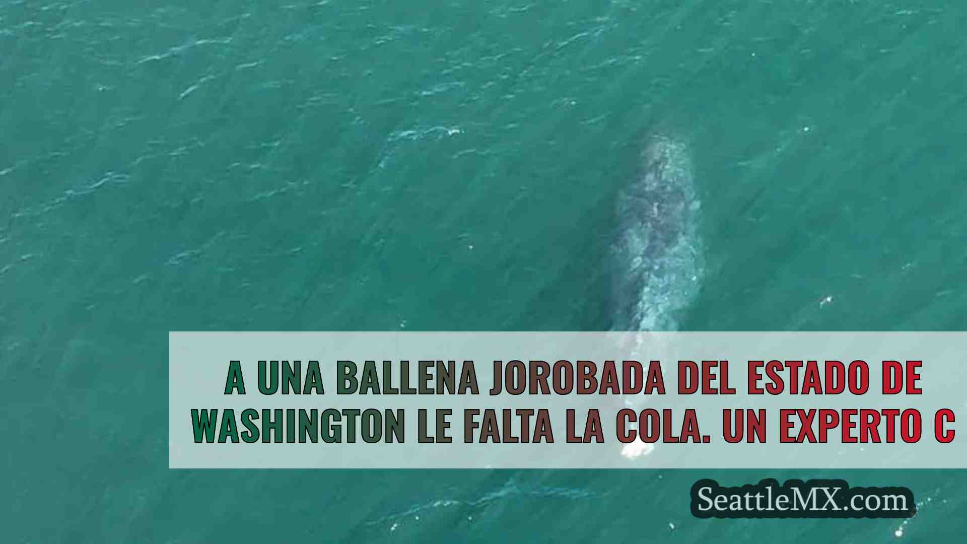 Noticias de Seattle SeattleMX