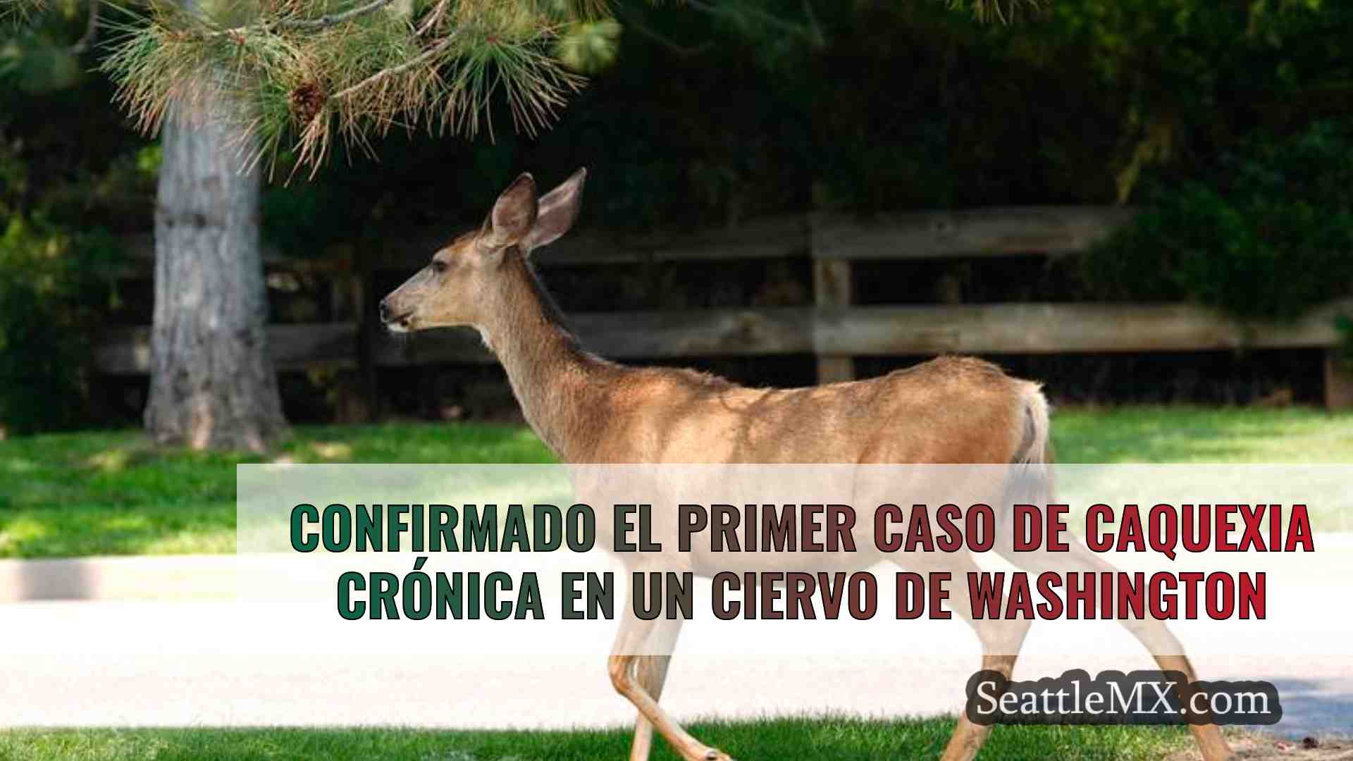 Confirmado el primer caso de caquexia