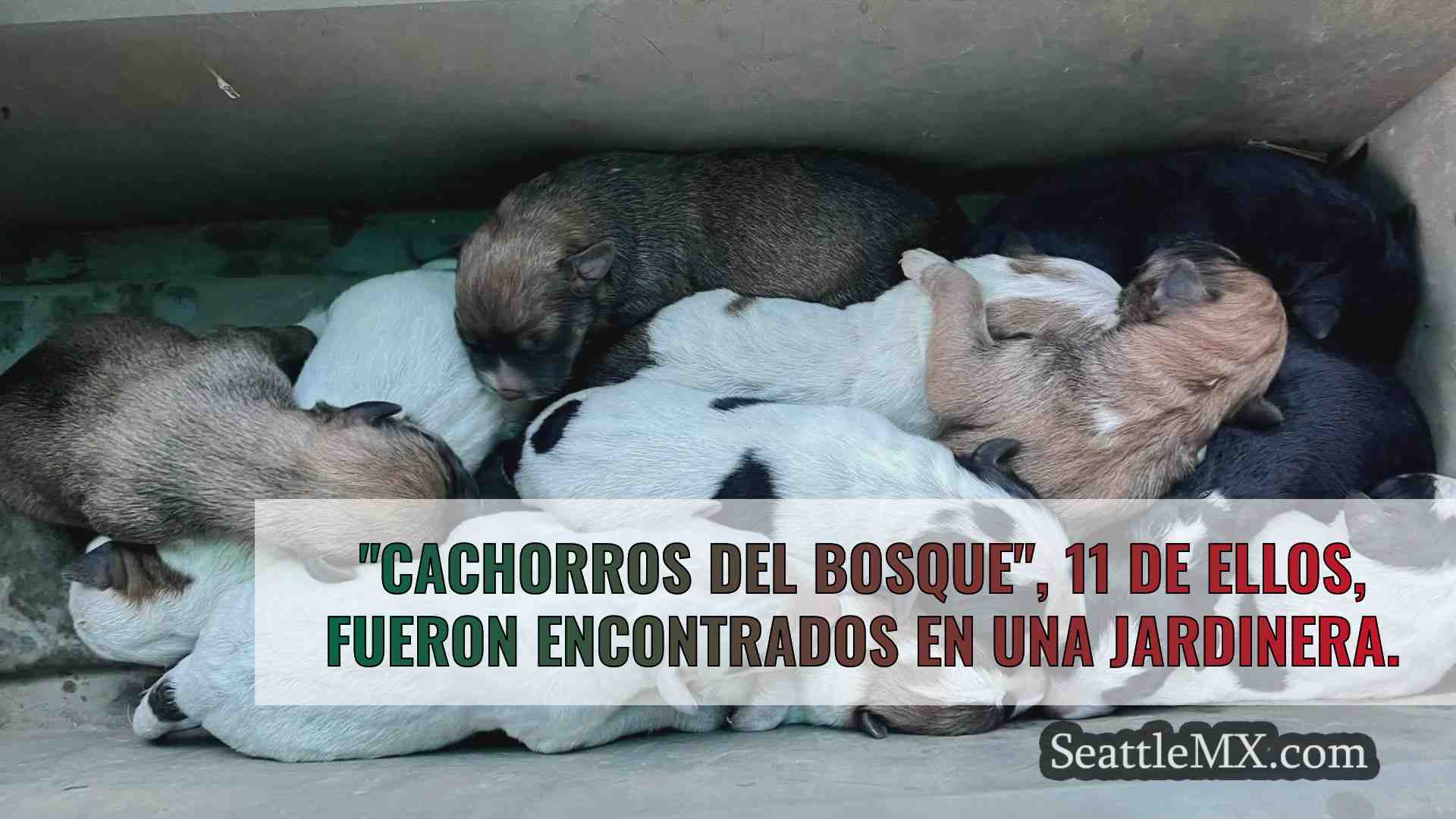 Unos excursionistas encuentran una caja