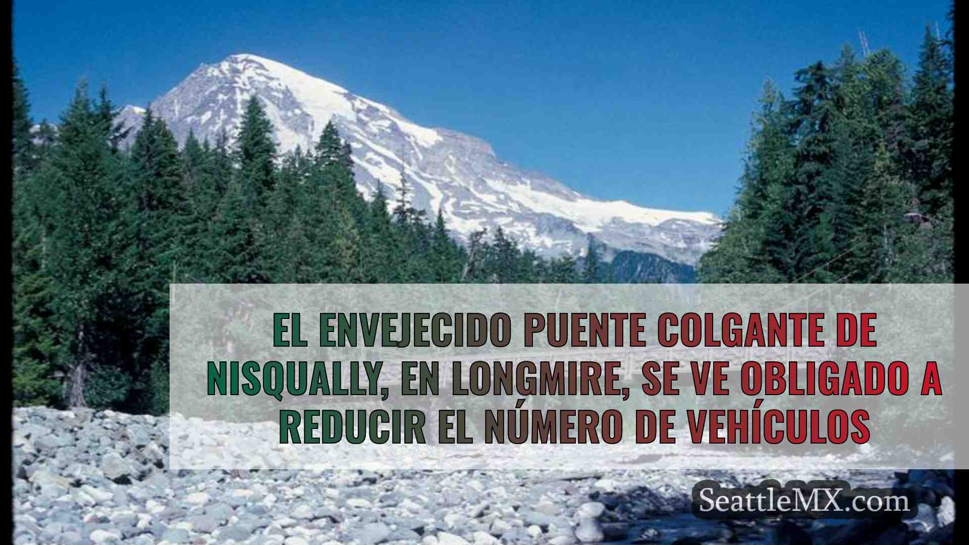 El envejecido puente colgante de