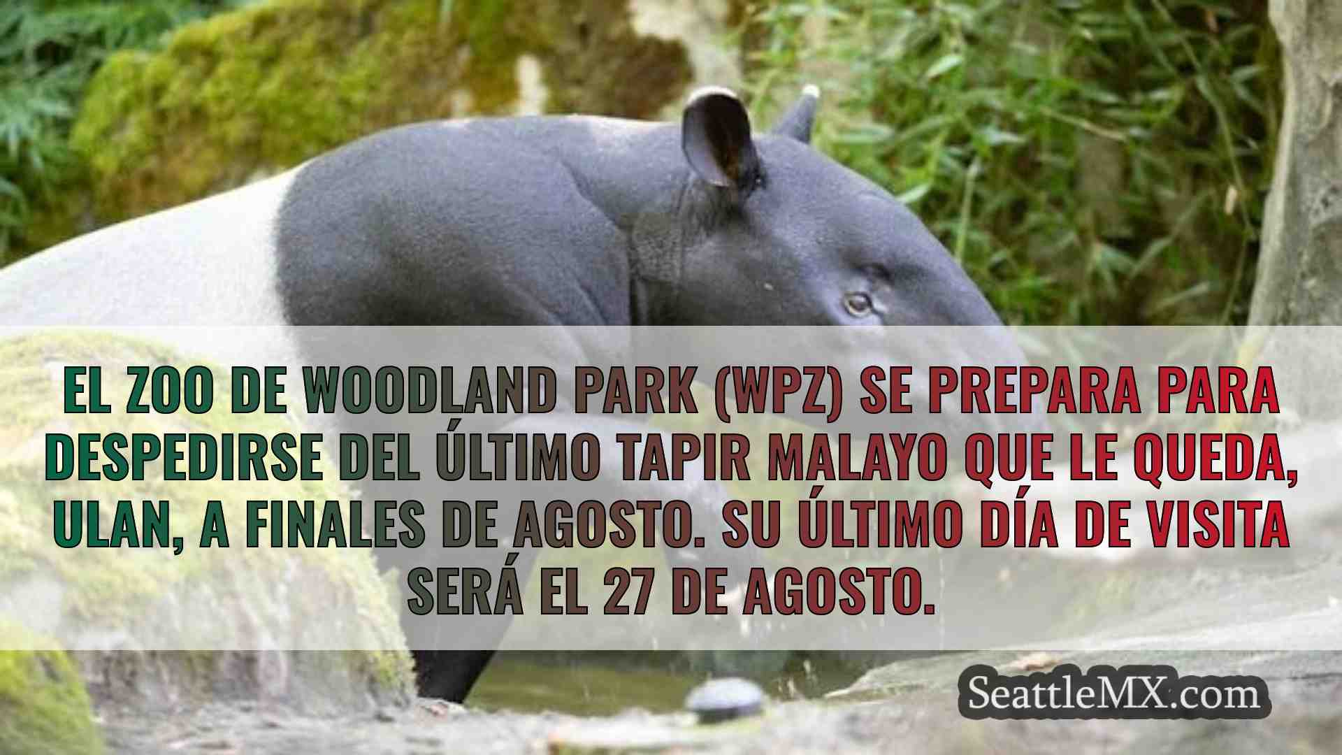 Noticias de Seattle SeattleMX