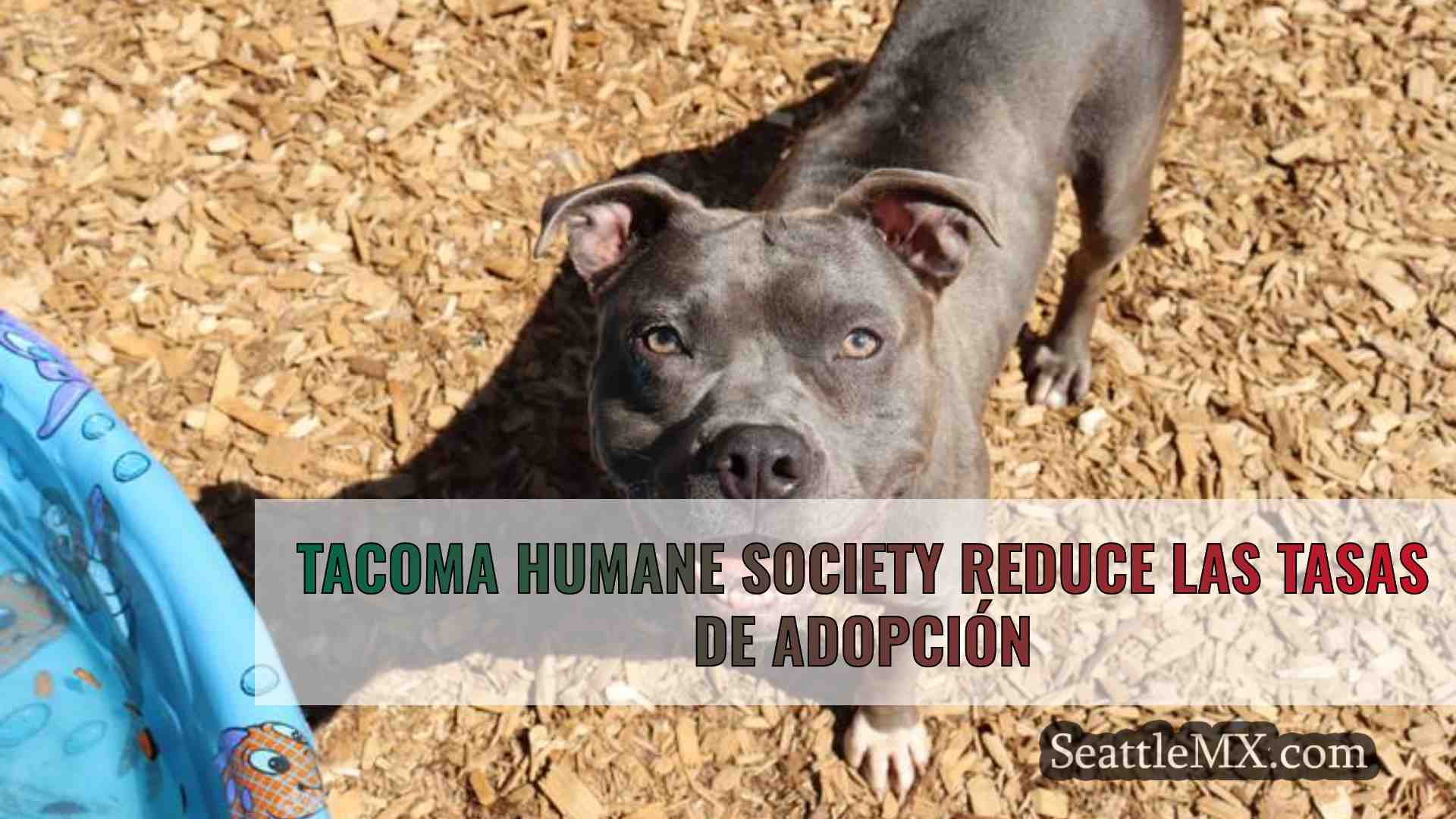 Noticias de Seattle SeattleMX