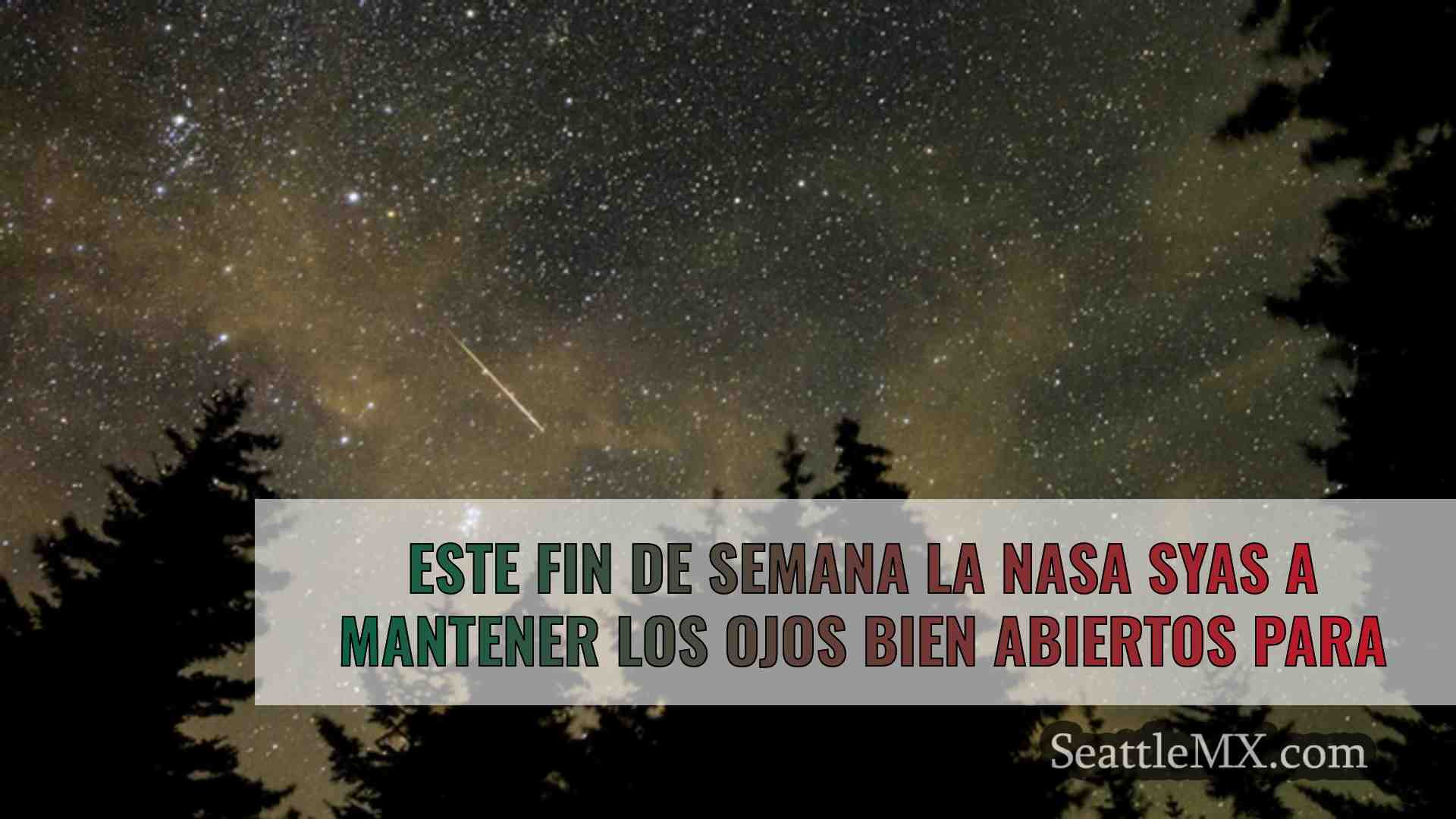 Se recomienda a los observadores de
