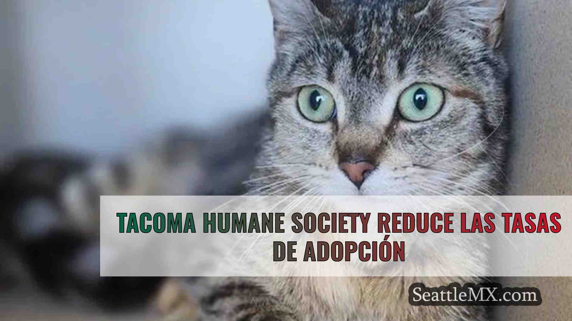 Tacoma Humane Society reduce las tasas