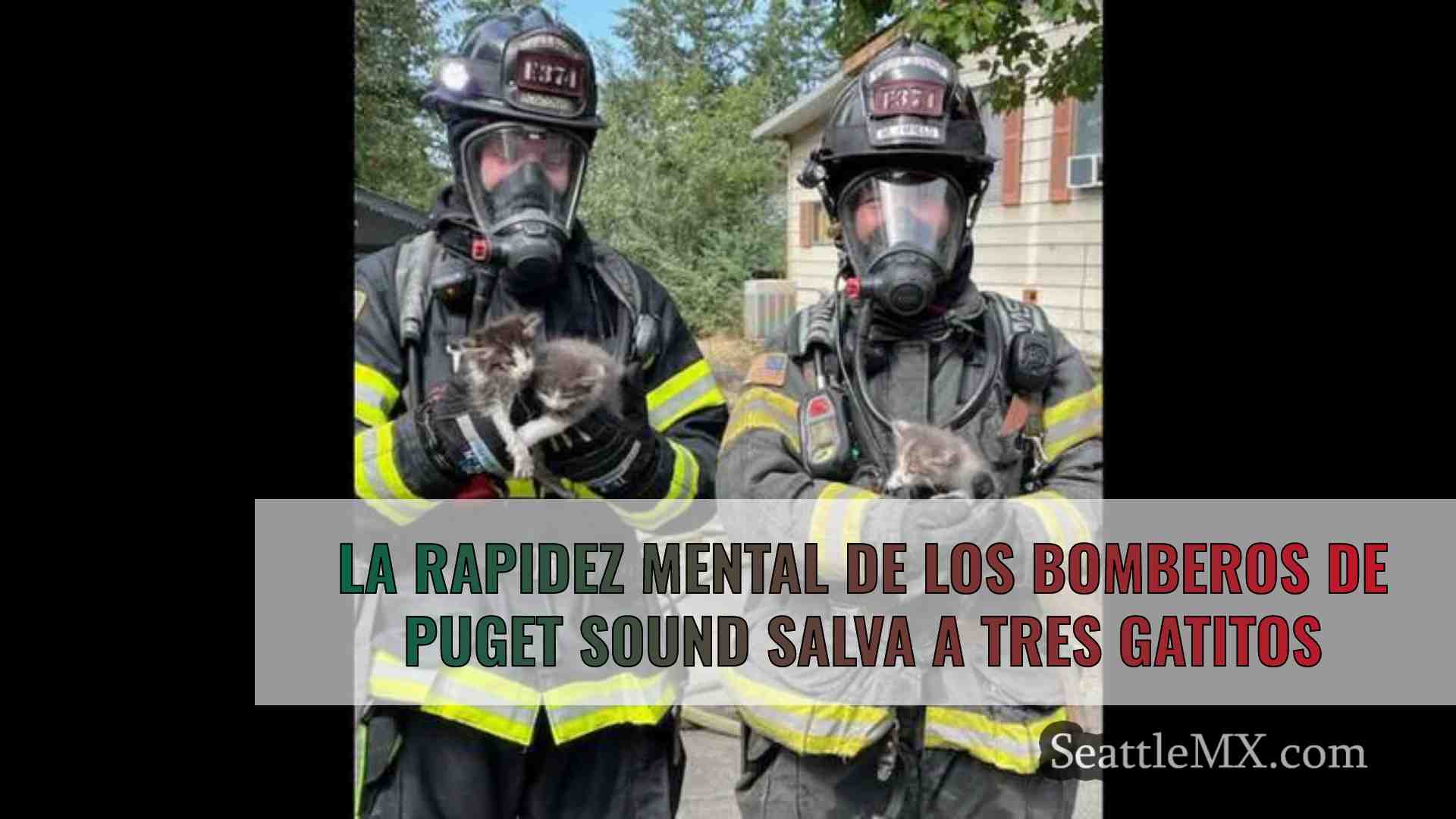 La rapidez mental de los bomberos de