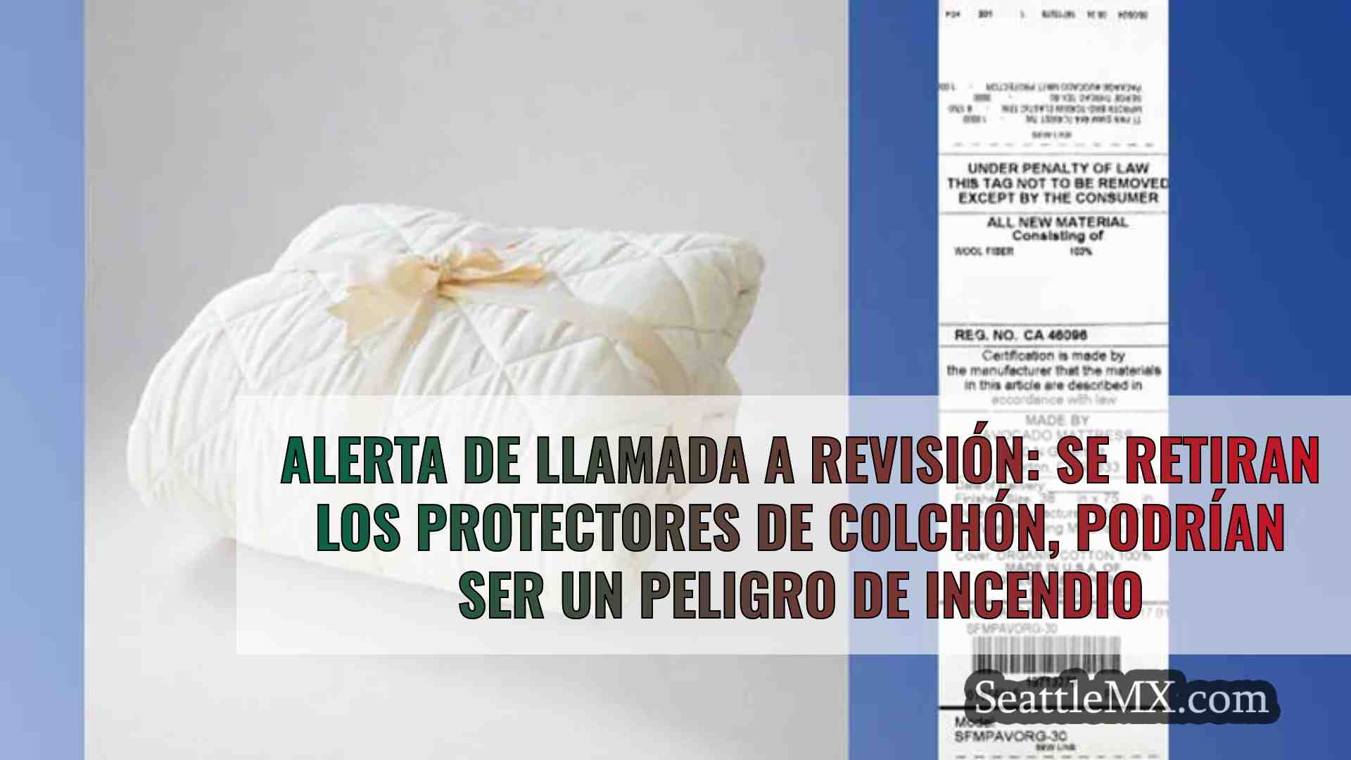 Alerta de llamada a revisión: se