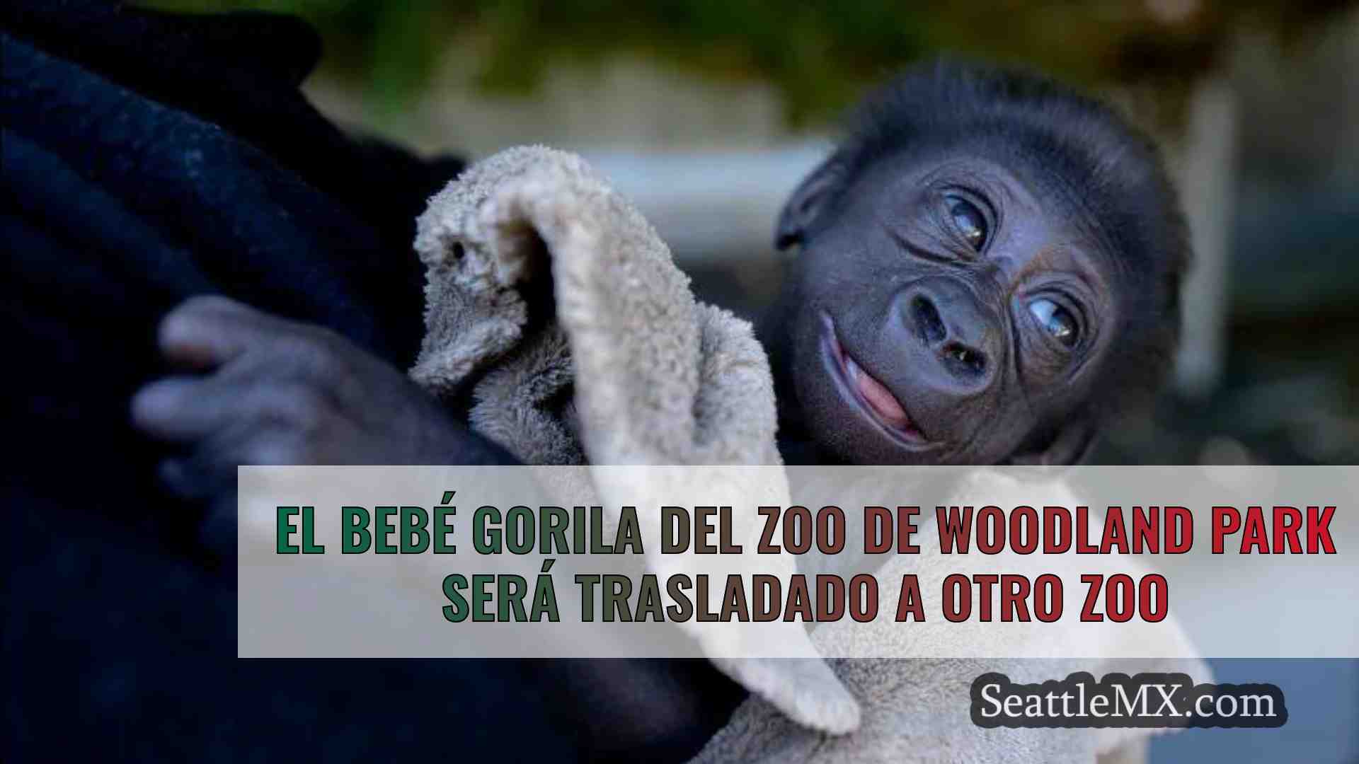 El bebé gorila del zoo de Woodland Park