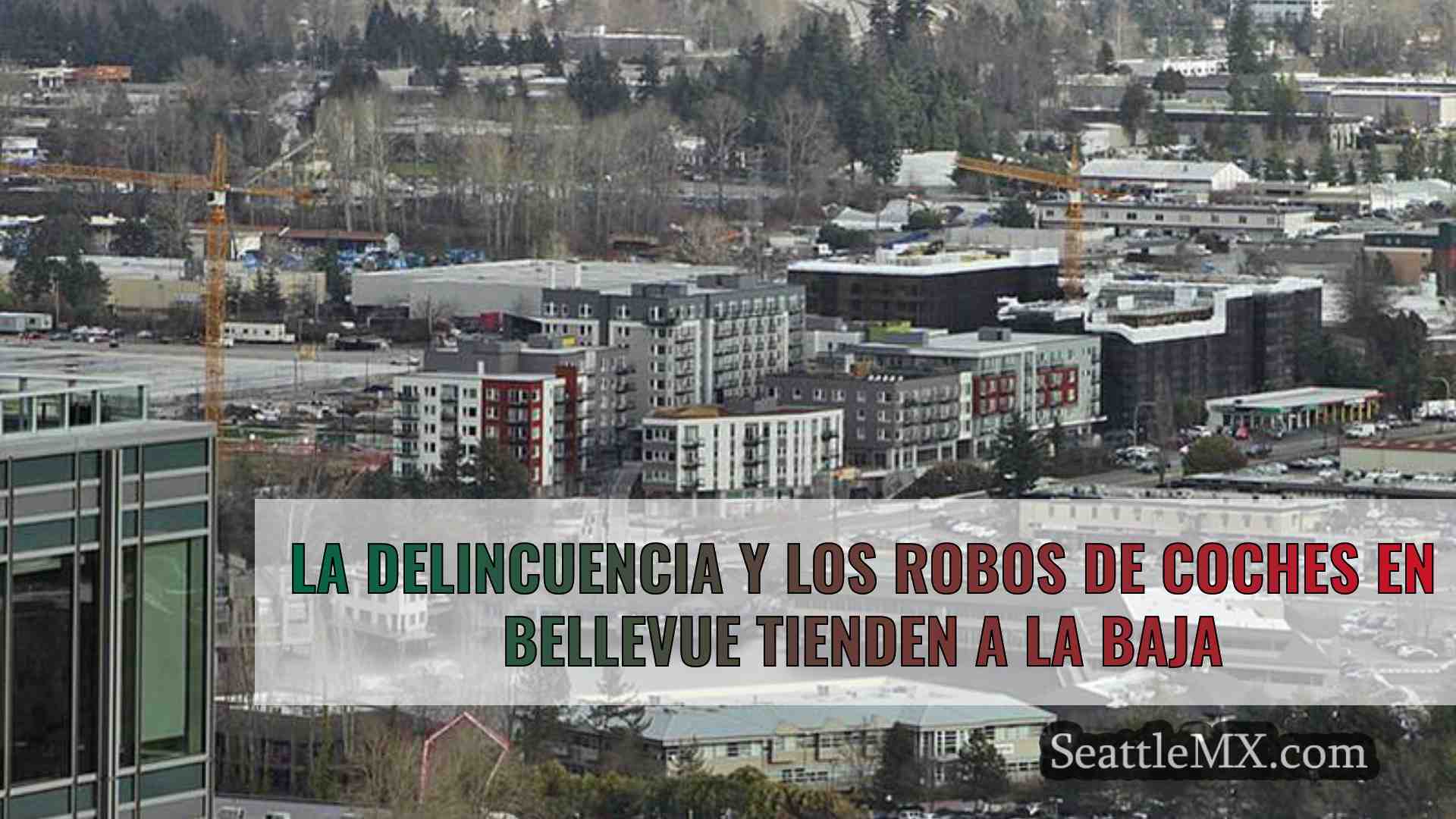 La delincuencia y los robos de coches