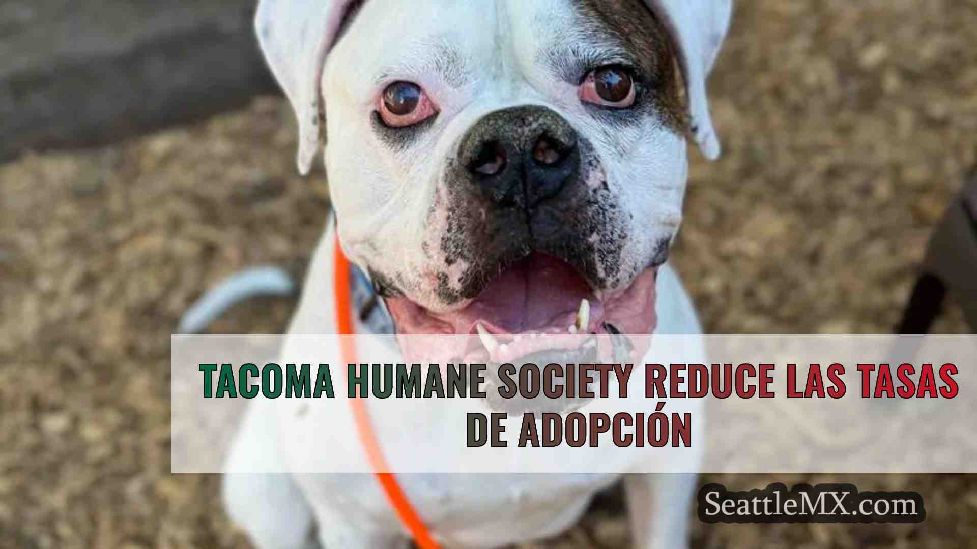 Noticias de Seattle SeattleMX