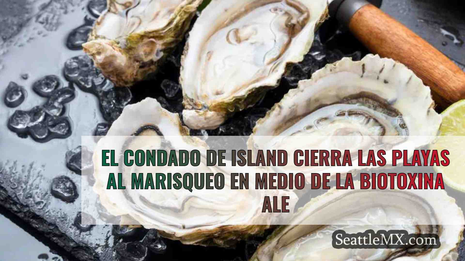 El condado de Island cierra las playas