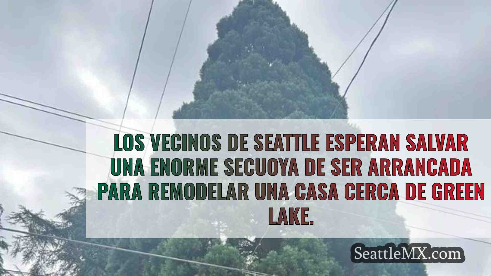 Noticias de Seattle SeattleMX
