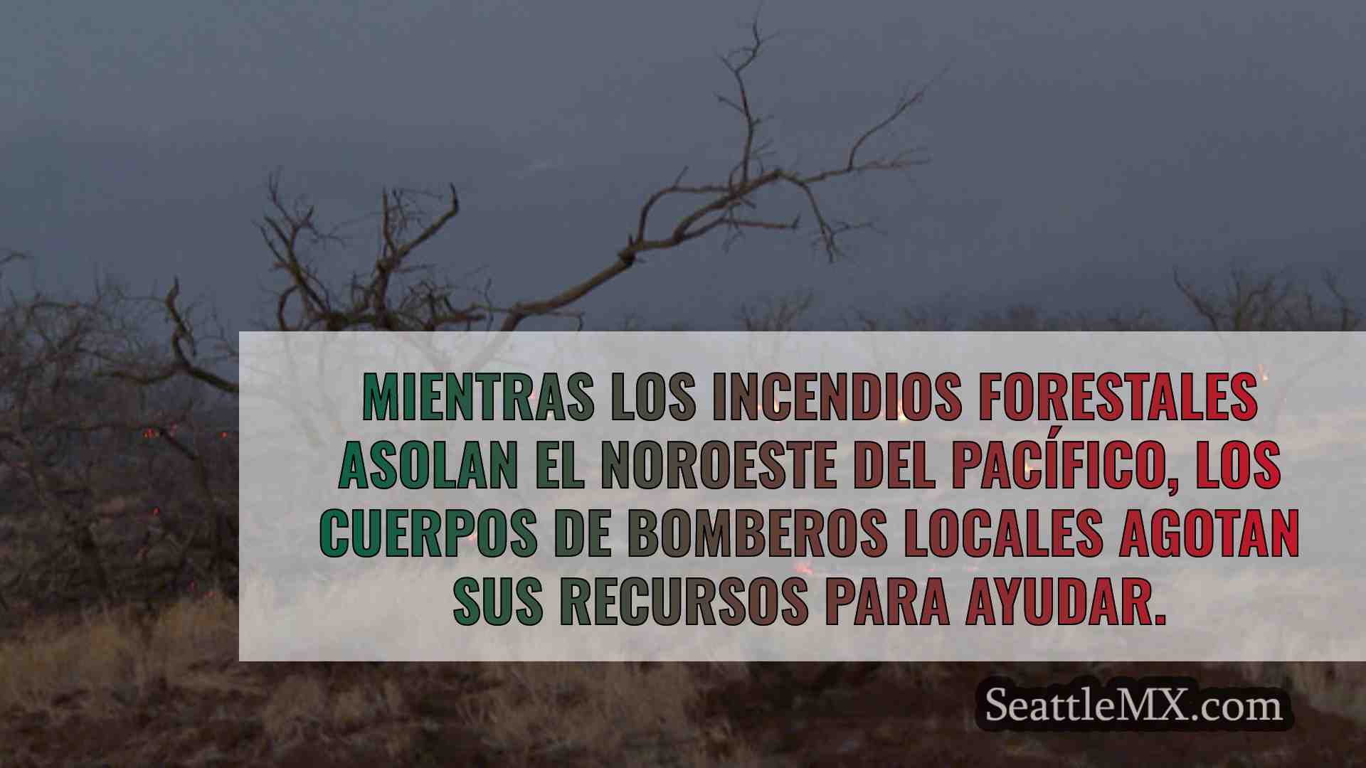 Noticias de Seattle SeattleMX