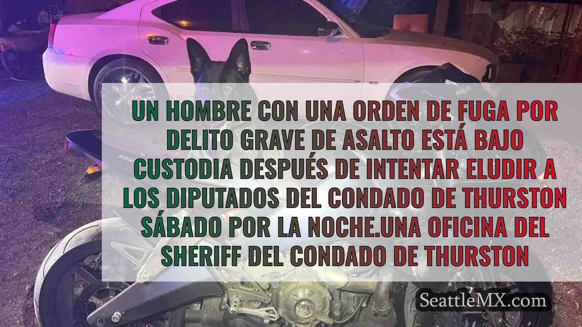 El vídeo de la cámara del salpicadero