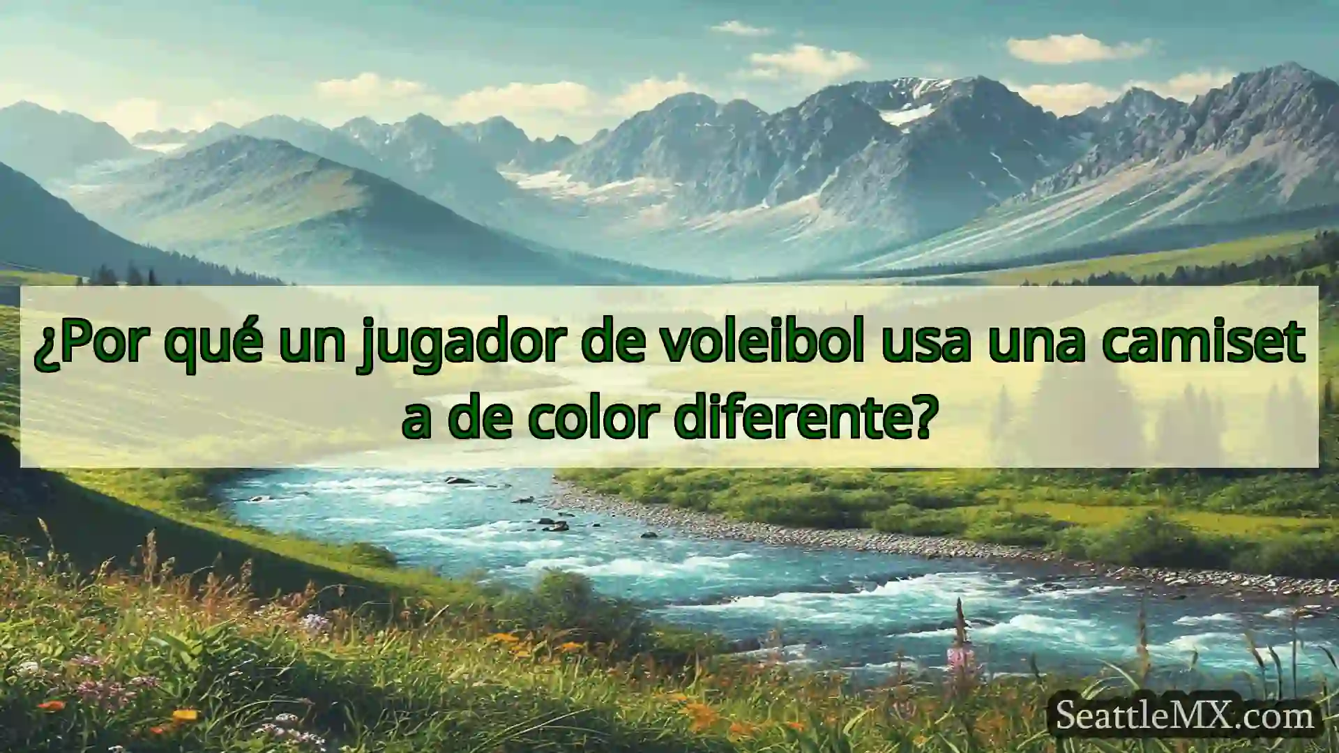 noticias de seattle ¿Por qué un jugador de voleibol