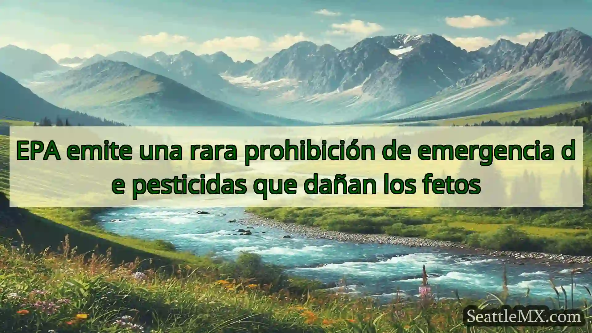 noticias de seattle EPA emite una rara prohibición de
