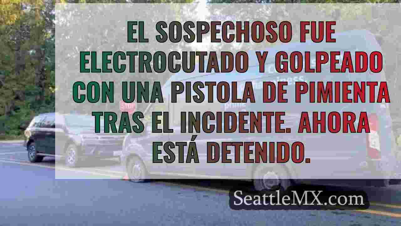 El repartidor de Amazon detenido tras