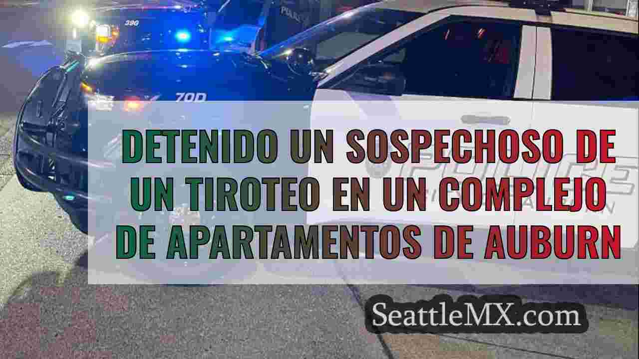 Detenido un sospechoso de un tiroteo en
