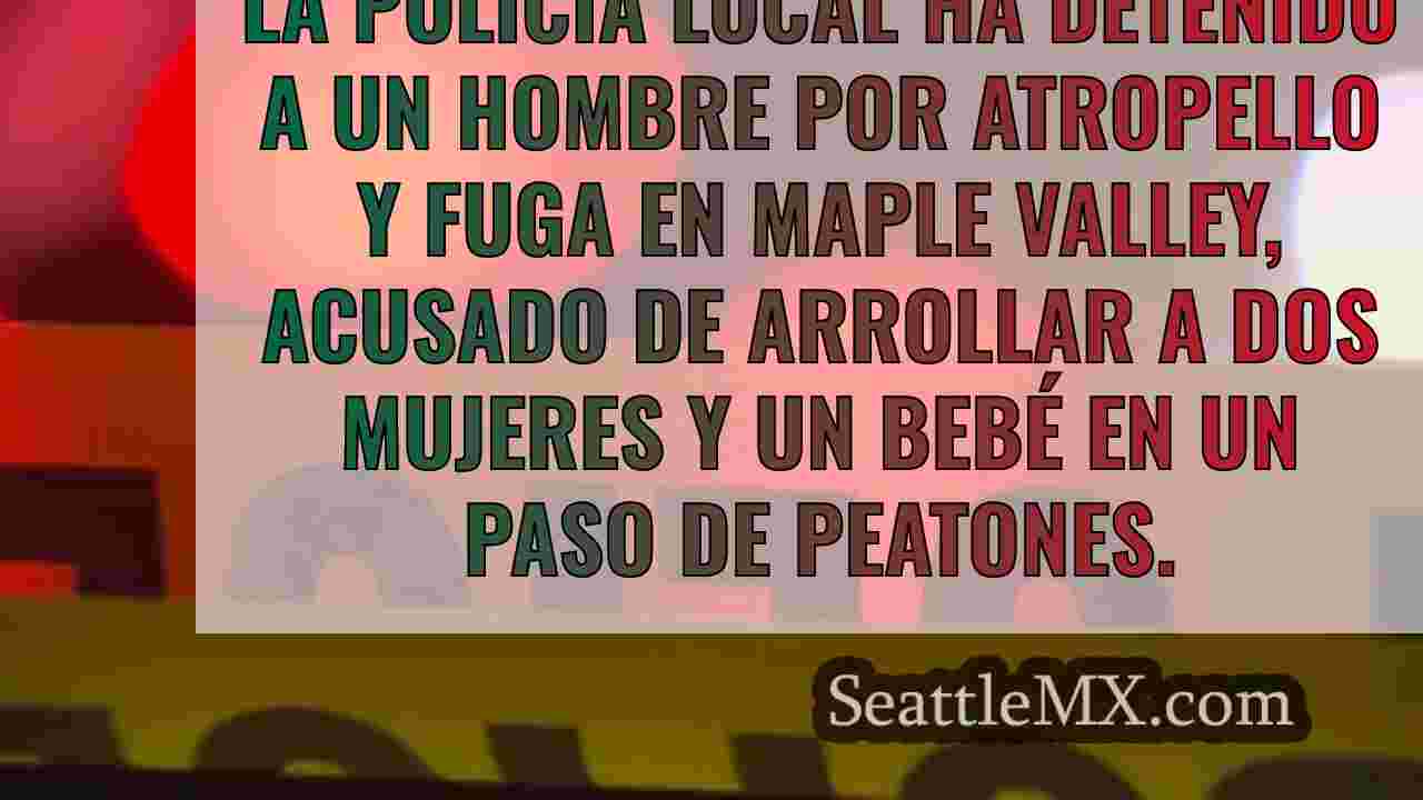 Un hombre acusado de atropellar y darse