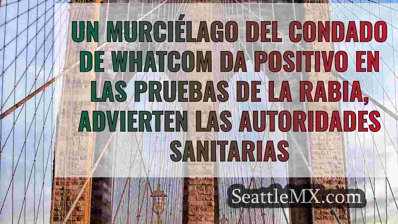 Noticias de Seattle SeattleMX