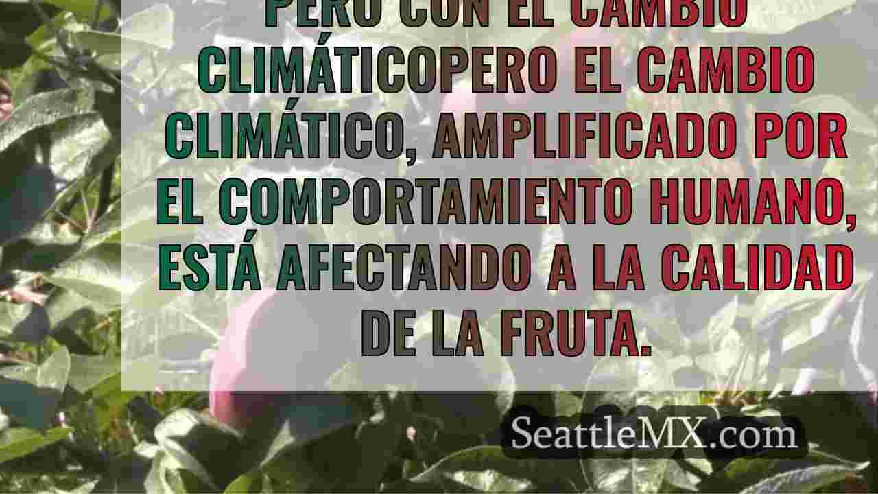 Noticias de Seattle SeattleMX