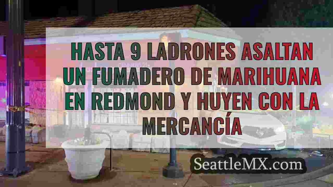 Hasta 9 ladrones asaltan un fumadero de
