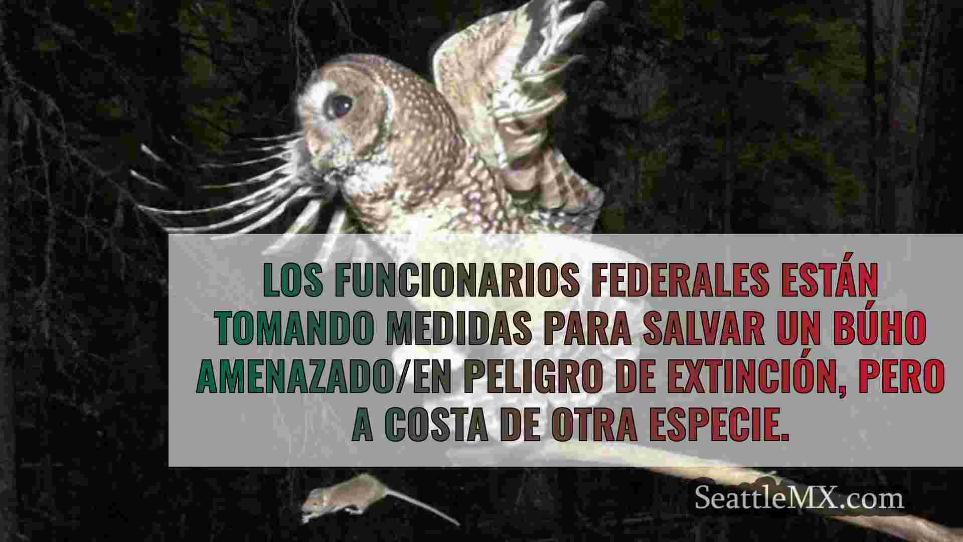 Noticias de Seattle SeattleMX