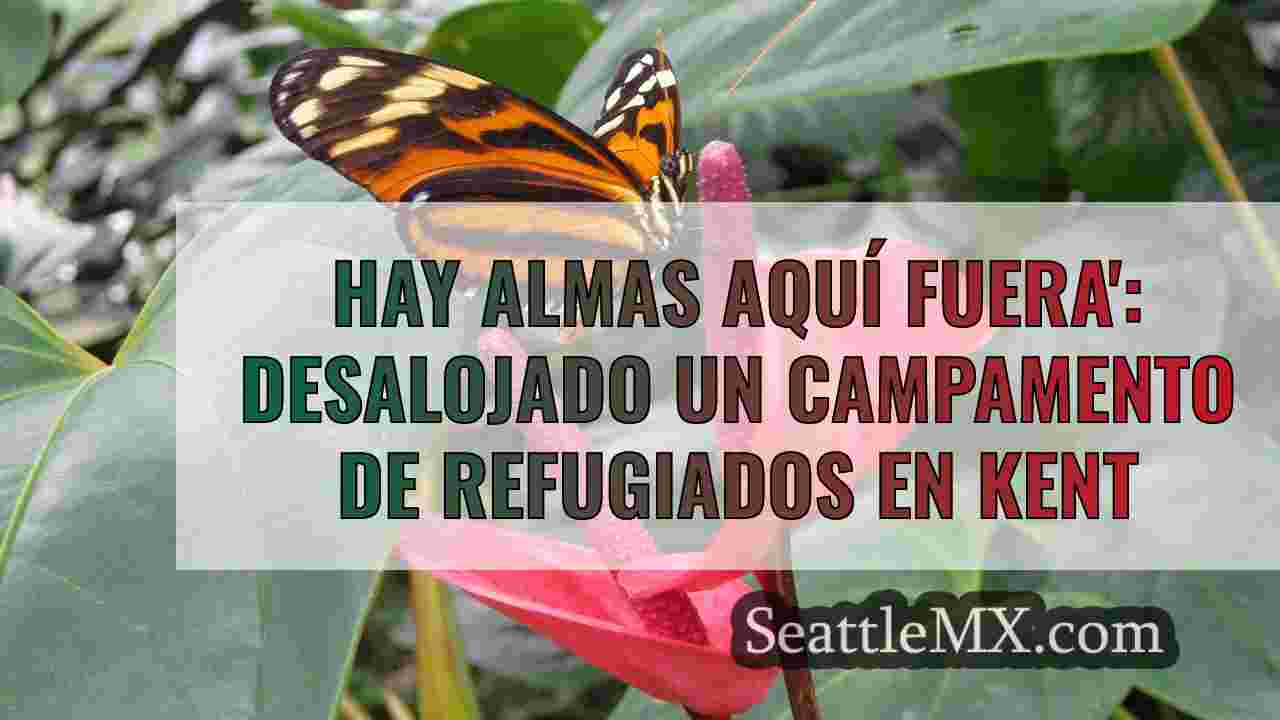 Noticias de Seattle SeattleMX
