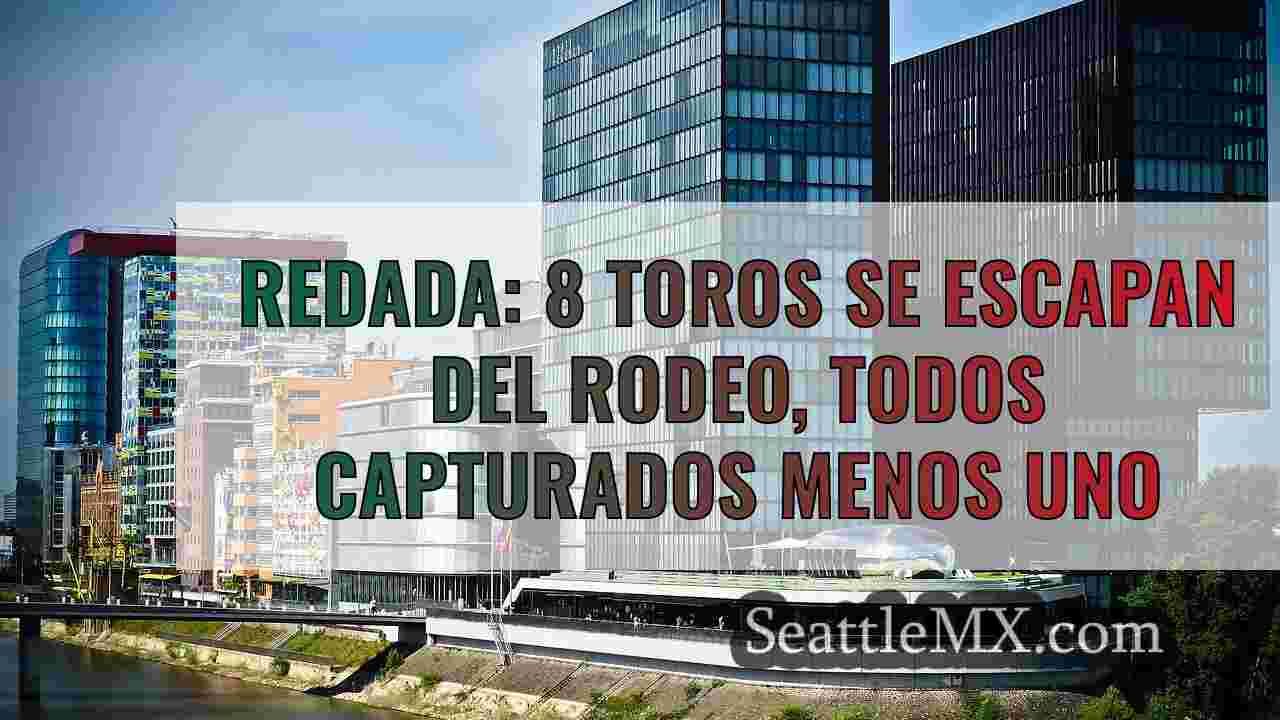 Noticias de Seattle SeattleMX