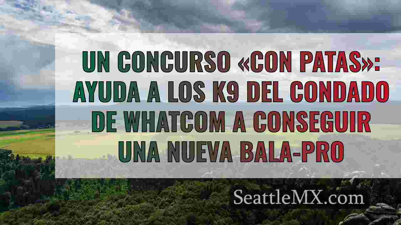 Noticias de Seattle SeattleMX