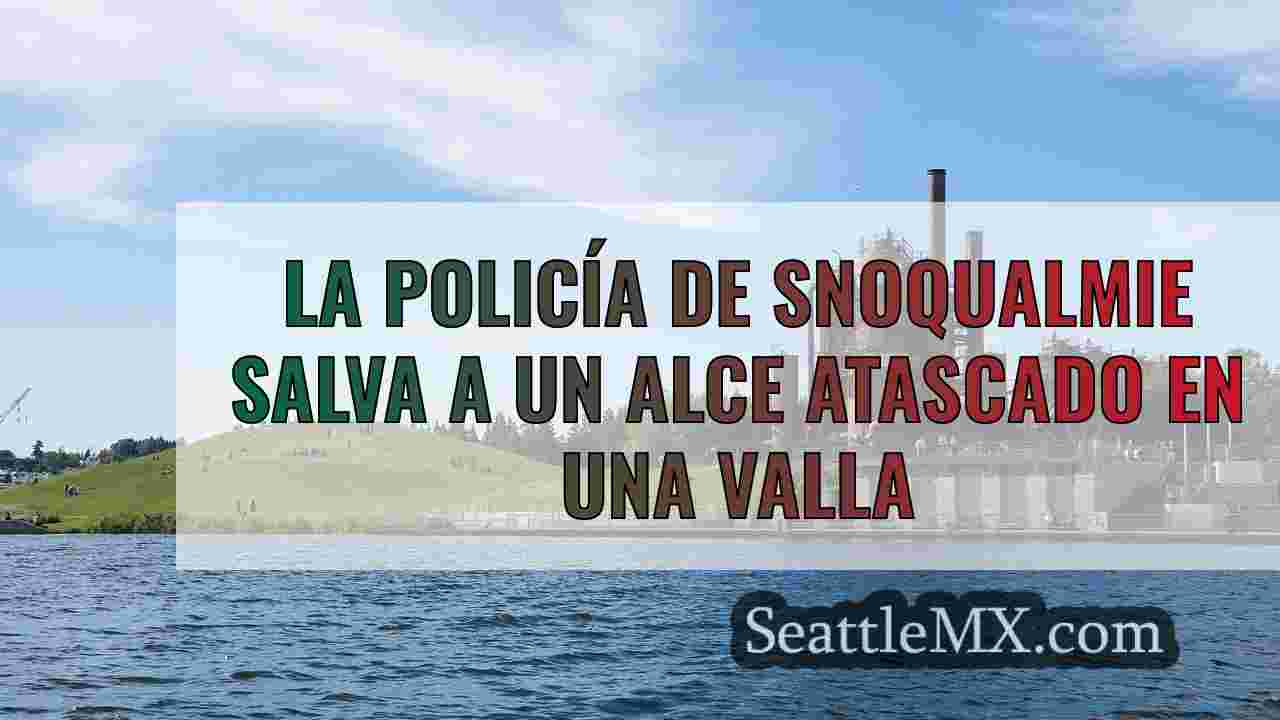 Noticias de Seattle SeattleMX