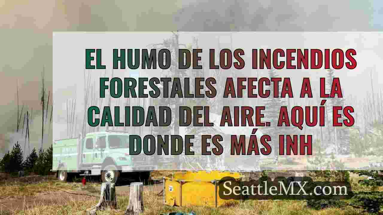 El humo de los incendios forestales
