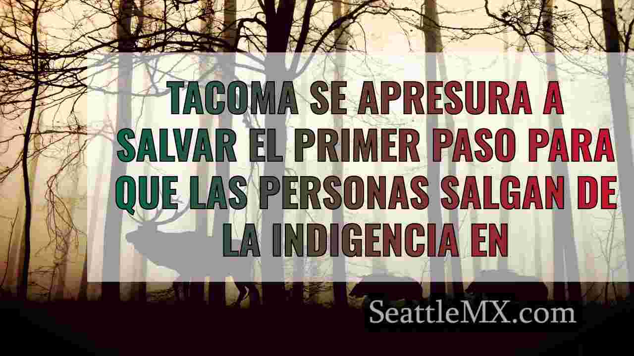 Noticias de Seattle SeattleMX