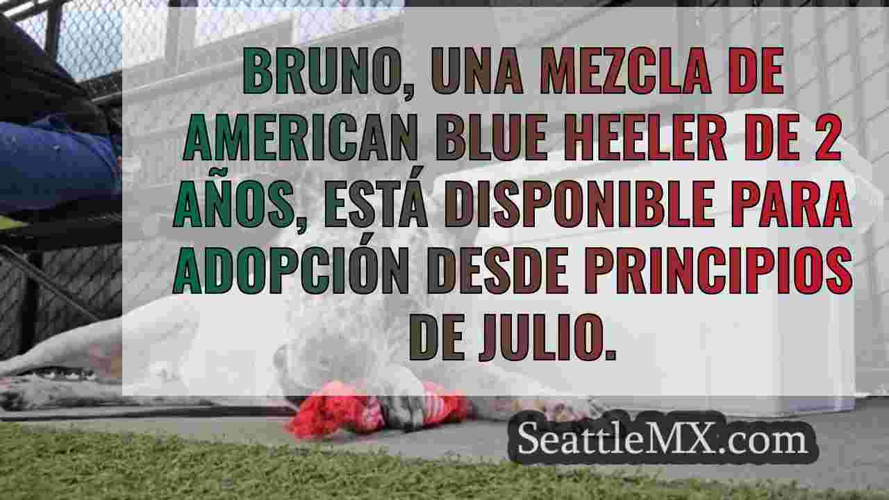 Noticias de Seattle SeattleMX