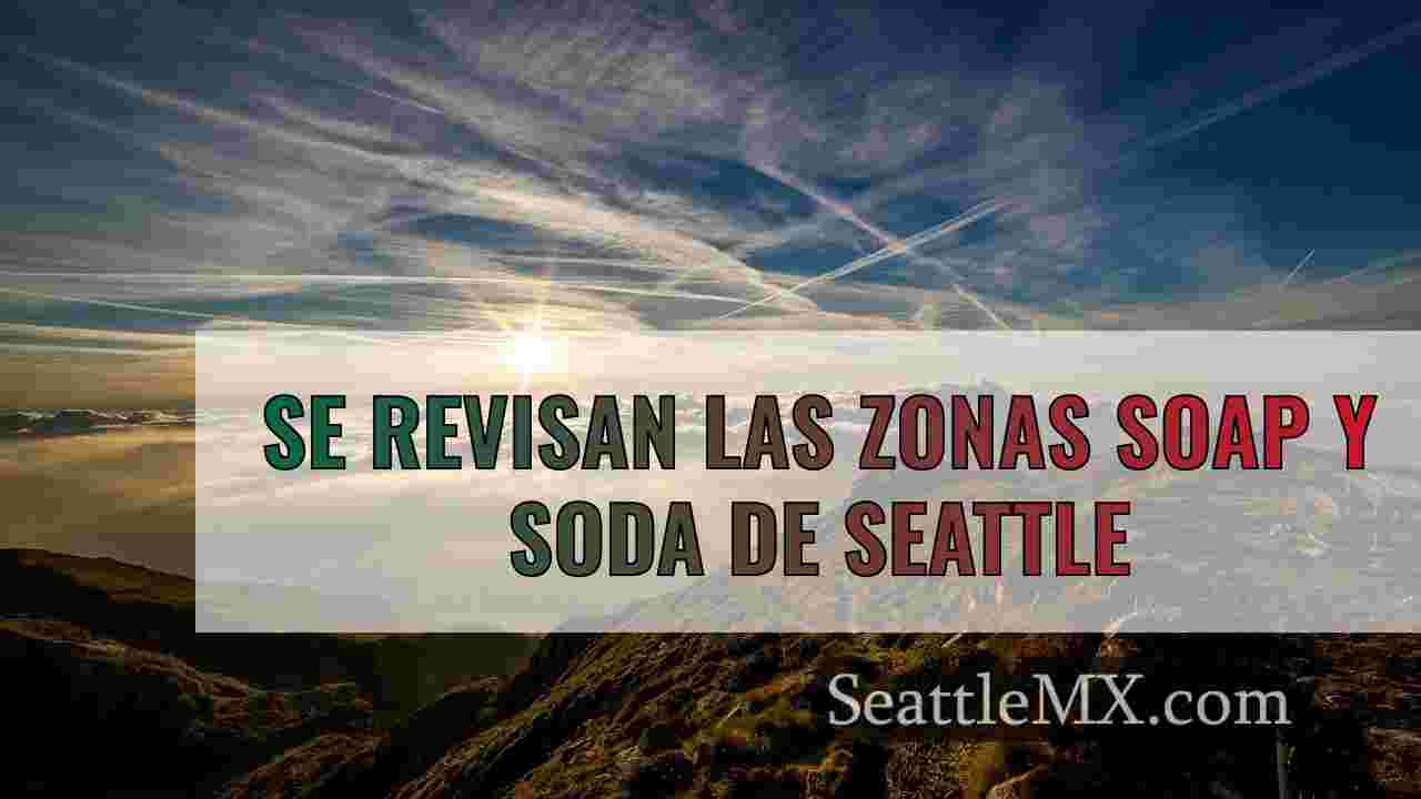 Se revisan las zonas SOAP y SODA de