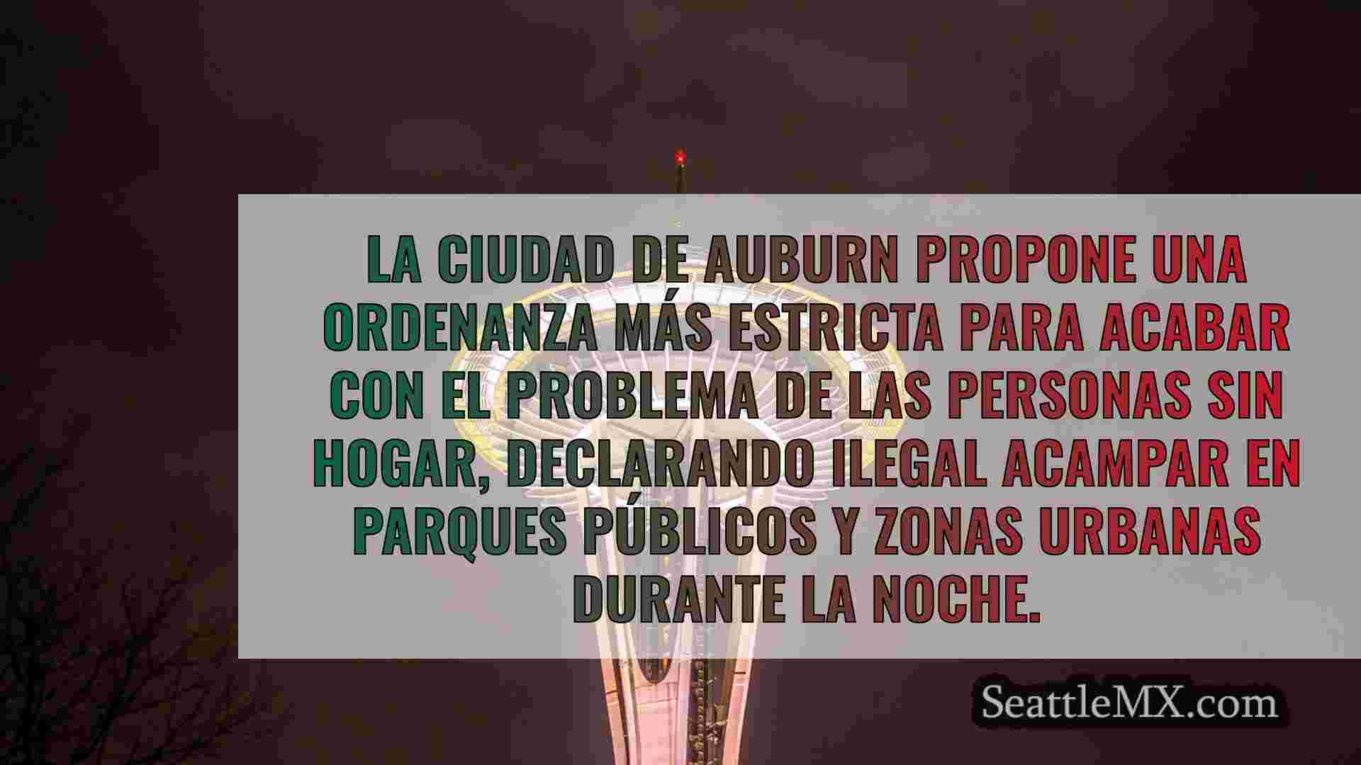 Auburn propone una ordenanza más
