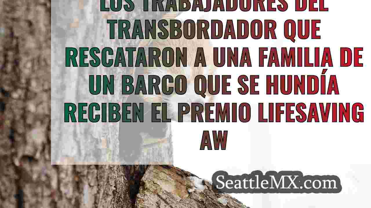 Noticias de Seattle SeattleMX