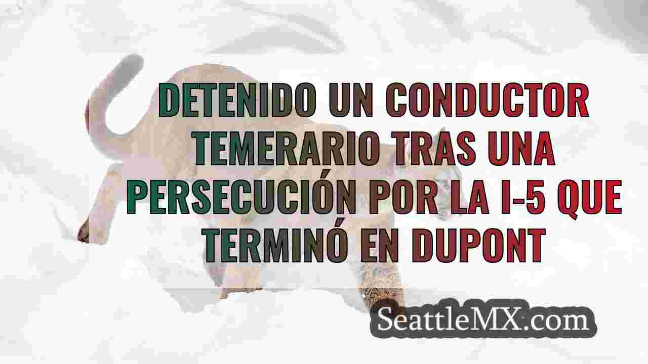Noticias de Seattle SeattleMX