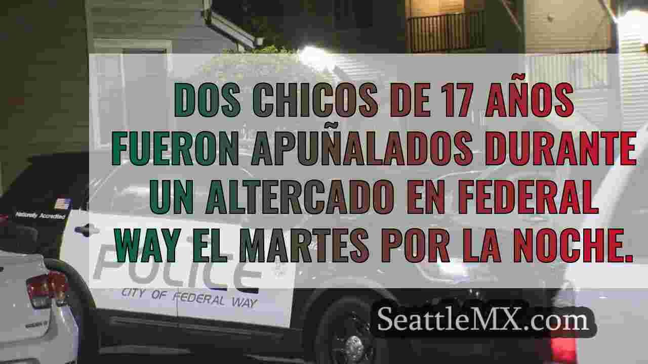 Detenido un sospechoso de apuñalar a