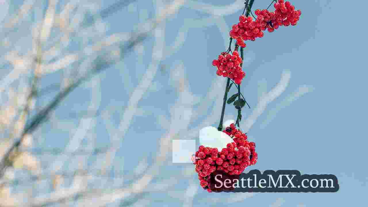 Noticias de Seattle SeattleMX